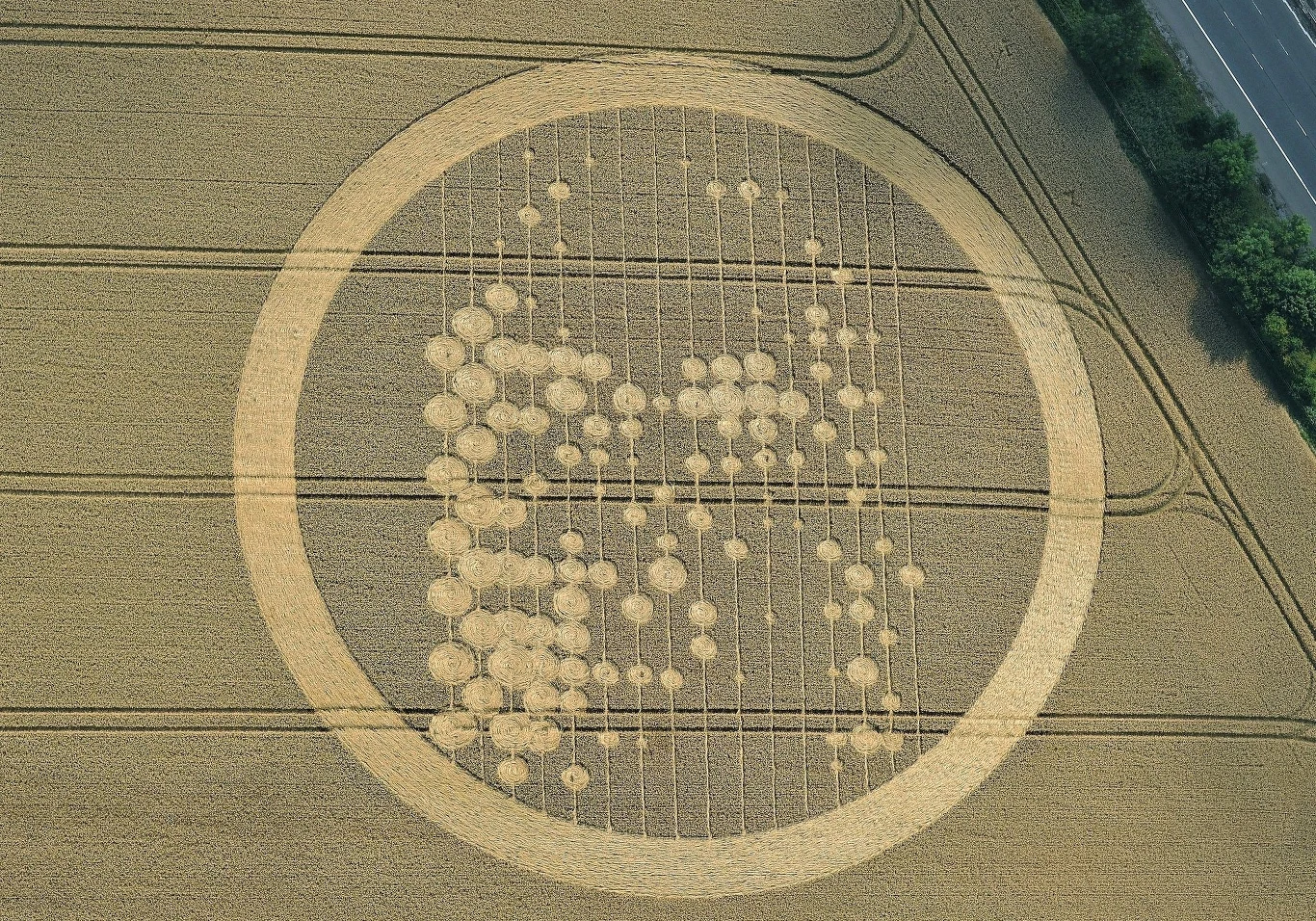 Wielka Brytania: W tym wzorze dopatrzono się twarzy Jezusa Chrystusa Wielka Brytania: W tym wzorze dopatrzono się twarzy Jezusa Chrystusa