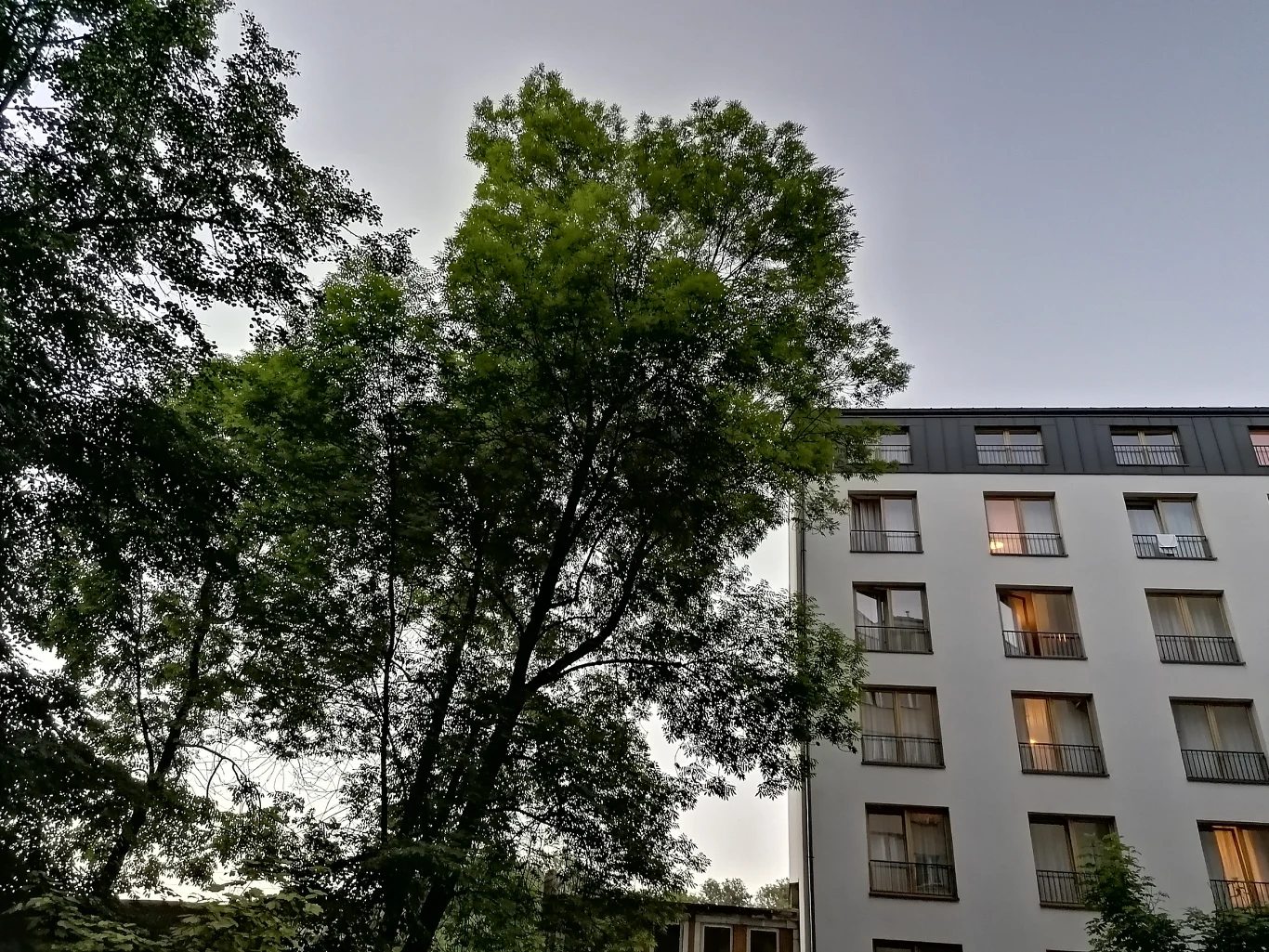 Huawei P30 Lite - przykładowe zdjęcia