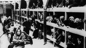 Auschwitz wraz z Birkenau i siecią podobozów stał się największym niemieckim obozem. Trafiło do niego co najmniej 1,3 mln osób. Śmierć poniosło w nim co najmniej 1,1 mln ludzi, głównie Żydów