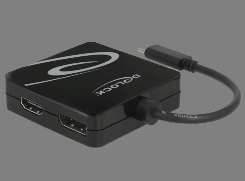 Adapter Delock Adapter Delock