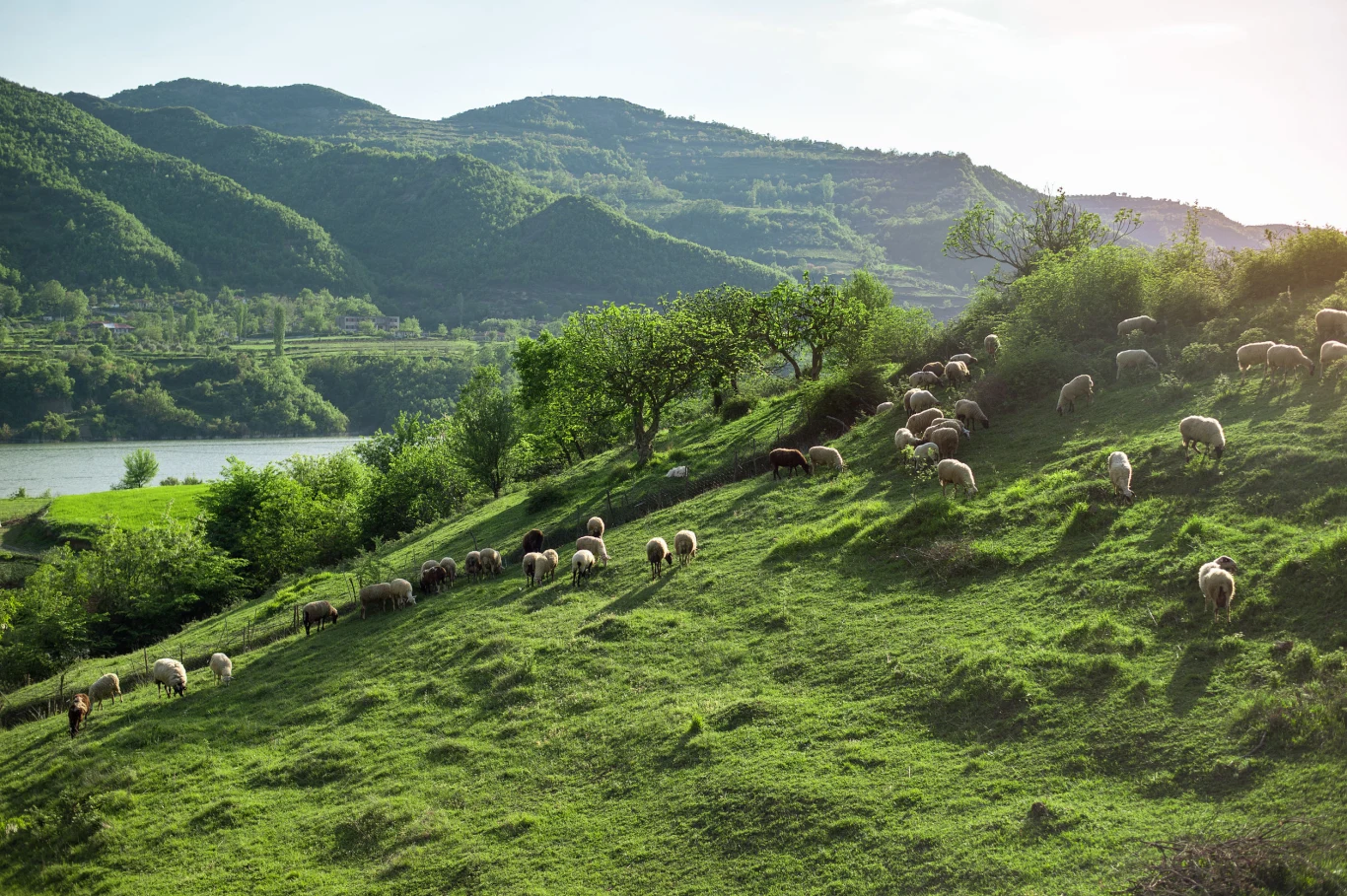 Albania to dobra opcja na zimowy urlop 