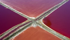 Walvis Bay: Kolorowy świat soli