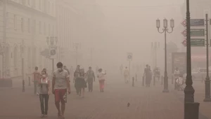 Smog truje także latem