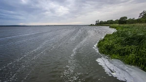 Jezioro Jamno