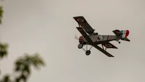 Latające maszyny na pikniku lotniczym