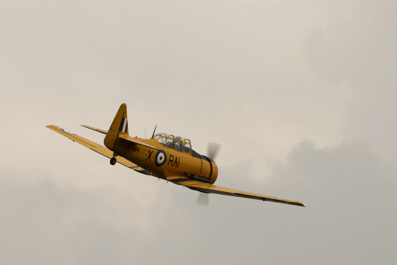 North American Texan