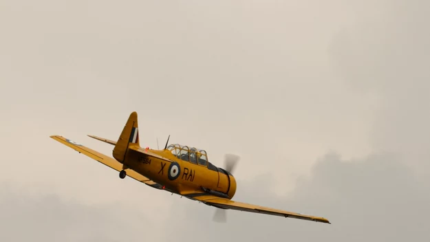 North American Texan