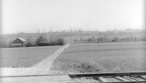 Rząd kwitnących drzew owocowych widziany z przejazdu kolejowego. Na horyzoncie widoczne zakłady przemysłowe Nowej Huty