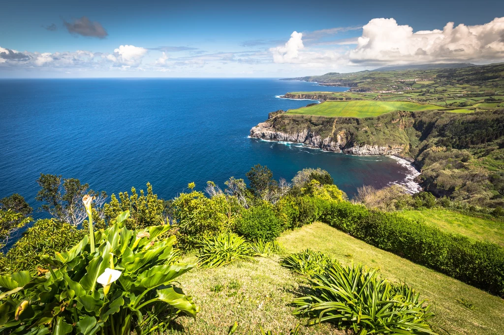 São Miguel – portugalska wyspa wulkaniczna w archipelagu Azorów