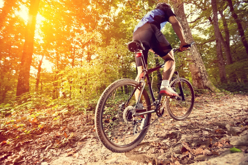 Kupując rower, musimy zadać sobie pytanie, gdzie będziemy na nim jeździć. Podczas wycieczek po lesie najlepiej sprawdza się rower górski i crossowy.