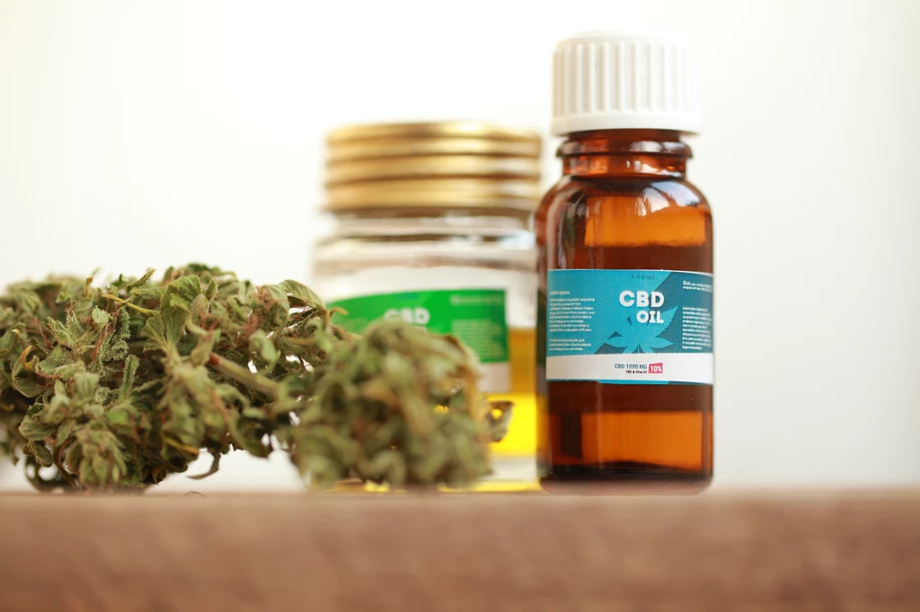 CBD okaże się skutecznym antybiotykiem?