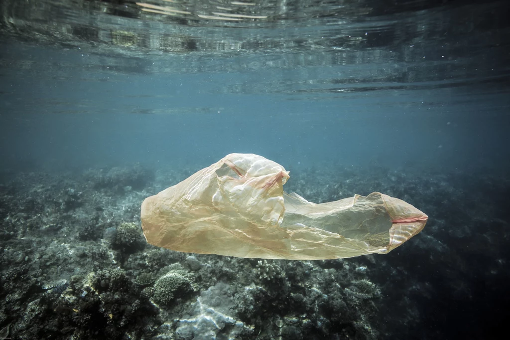 Prawie 80 proc. odpadów plastikowych zanieczyszczających morza pochodzi z niezabezpieczonych wysypisk śmieci