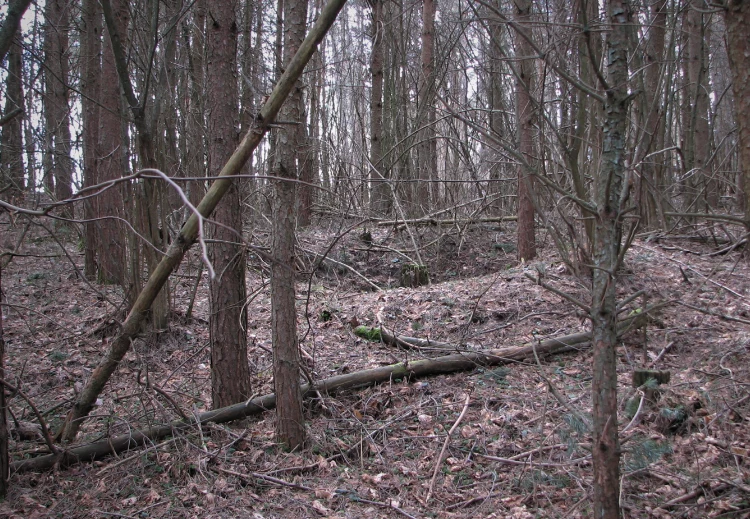 Jama K2 "kromlechu" z widocznym obwałowaniem Jama K2 "kromlechu" z widocznym obwałowaniem