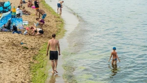 Zanieczyszczony brzeg i woda przez wykwit sinic