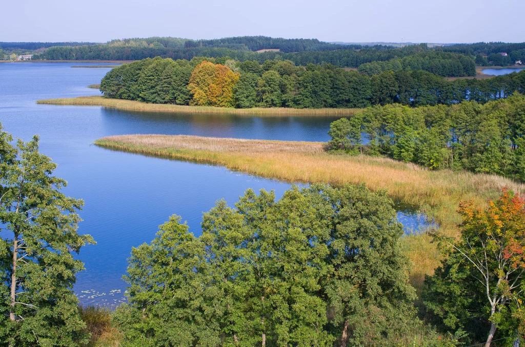 Wypocznij wśród pięknych lasów oraz skarbów przyrody