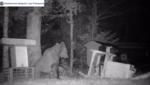 ​Józefek znowu zaskakuje