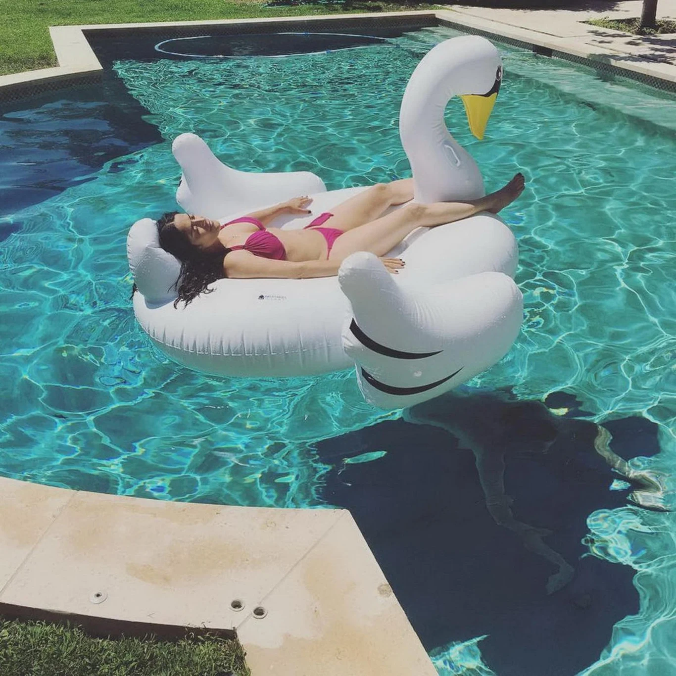 W 1996 roku uznano ją za jedną z najpiękniejszych osób na Ziemi. Dzięki sukcesowi filmów Rodrigueza Hayek zaczęła otrzymywać oferty ról w kolejnych filmach – głównie w sensacyjnych i niezobowiązujących komediach. Porażką okazała się jej pierwsza produkcja wysokobudżetowa – adaptacja popularnego serialu telewizyjnego "Bardzo Dziki Zachód".