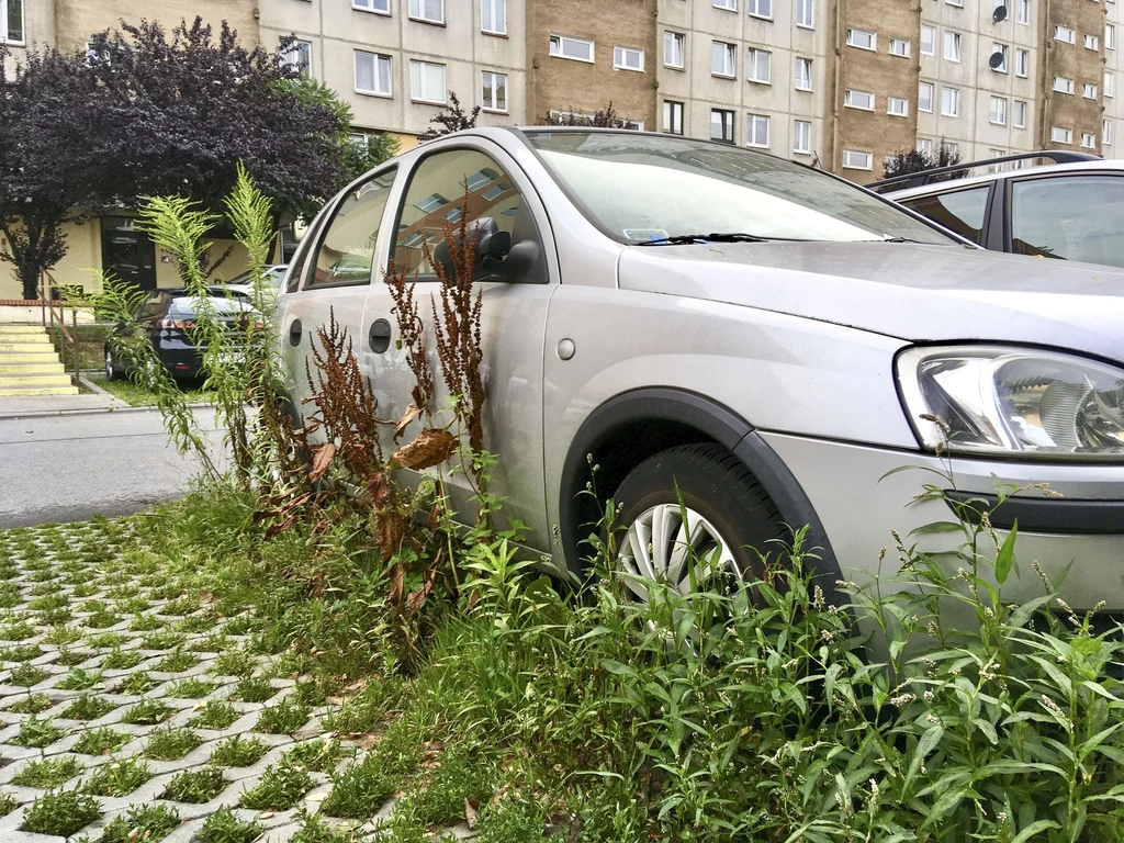 Porzucone samochody są usuwane  z ulic