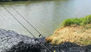 ​Śląsk: Brunatna woda wlana do Wisły