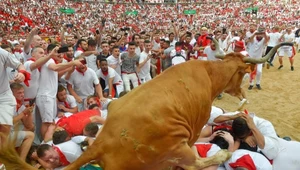 Sanfermines: Brutalna gonitwa byków w Pampelunie