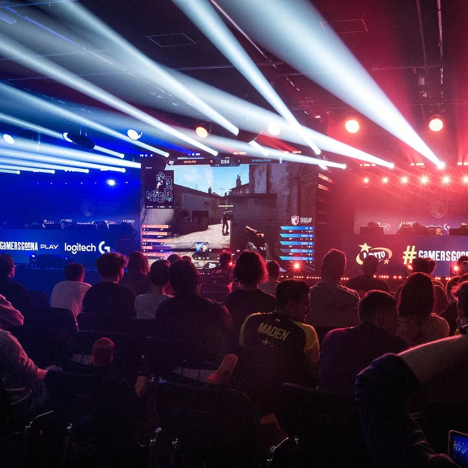 Naprzeciw siebie stanęło 8 topowych polskich drużyn wyłonionych dzięki eliminacjom w Dywizji Mistrzowskiej. Pierwsza czwórka: Warriors, KGG, ex-Wisła Płock oraz Izako Boars, zakończyła występ w play-offach na etapie ćwierćfinałów. W fazie półfinałów spotkały się: AVEZ, Aristocracy, debiutanckie Virtus.pro, oraz x-kom AGO walczące o obronę tytułu Mistrzów Polskiej Ligi Esportowej.