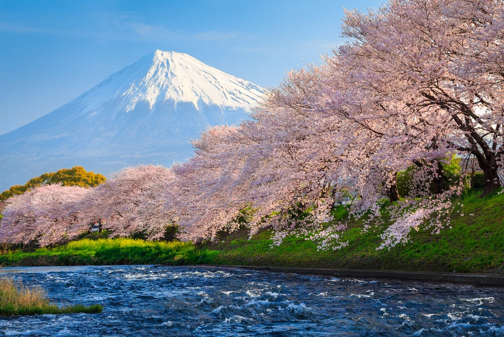 Japonia staje się jednym z najpopularniejszych kierunków turystycznych