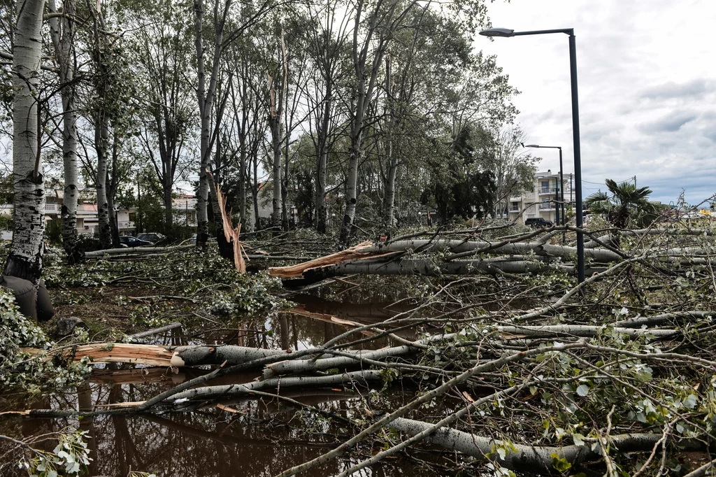 Trwa szacowanie szkód po burzy, jaka w nocy przeszła przez północną Grecję. Dotychczasowy bilans to siedmiu zabitych, w tym dwoje dzieci, ponad stu rannych i ogromne zniszczenia. Na Chalkidiki, gdzie są największe straty, został wprowadzony stan wyjątkowy. Trwa szacowanie szkód po burzy, jaka w nocy przeszła przez północną Grecję. Dotychczasowy bilans to siedmiu zabitych, w tym dwoje dzieci, ponad stu rannych i ogromne zniszczenia. Na Chalkidiki, gdzie są największe straty, został wprowadzony stan wyjątkowy.