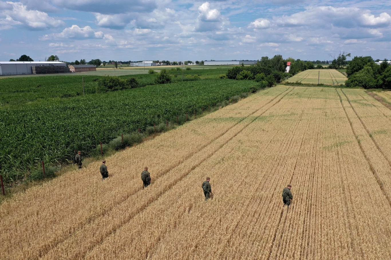 Akcja poszukiwawcza. 5-letni Dawid Żukowski, gdy ojciec zabrał go z domu, był ubrany w szaroniebieską bluzę dresową, niebieskie jeansy i niebieskie trampki z obrazkami Zygzaka McQueena.