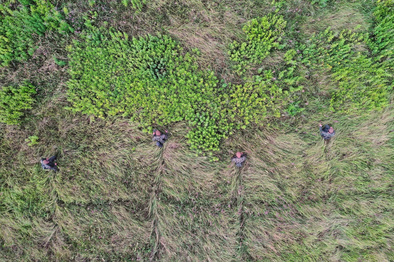 Akcja poszukiwawcza. 5-letni Dawid Żukowski, gdy ojciec zabrał go z domu, był ubrany w szaroniebieską bluzę dresową, niebieskie jeansy i niebieskie trampki z obrazkami Zygzaka McQueena.