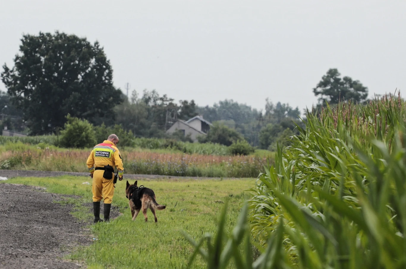 Służby podczas kolejnego dnia poszukiwań 5-letniego Dawida.