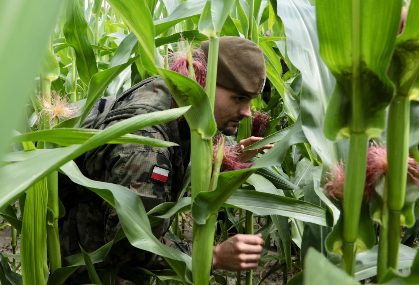 Służby podczas kolejnego dnia poszukiwań 5-letniego Dawida.
