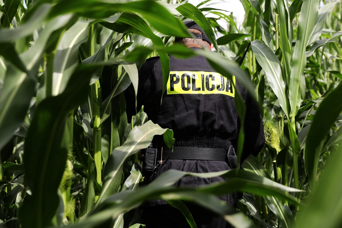 Akcja poszukiwawcza. 5-letni Dawid Żukowski, gdy ojciec zabrał go z domu, był ubrany w szaroniebieską bluzę dresową, niebieskie jeansy i niebieskie trampki z obrazkami Zygzaka McQueena.