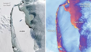 Największa na świecie góra lodowa została skazana na zniszczenie