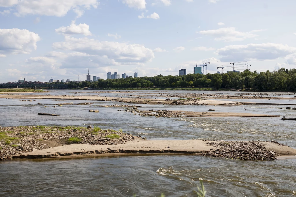 W czasie suszy, poziom wody w Wiśle na odcinku warszawskim był na tyle niski, że można było przejść przez rzekę w kaloszach. 