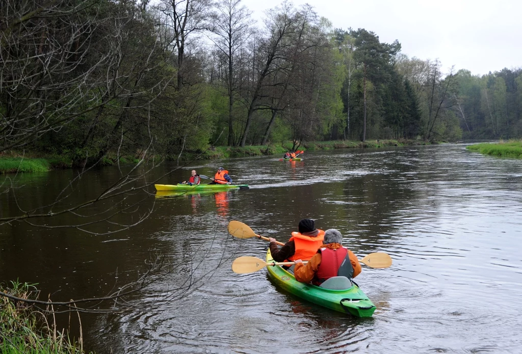 Spływ kajakowy, Sulejów, fot. Zenon Zyburtowicz/East News Spływ kajakowy, Sulejów, fot. Zenon Zyburtowicz/East News