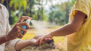 Amerykanie odurzają się sprayem odstraszającym osy