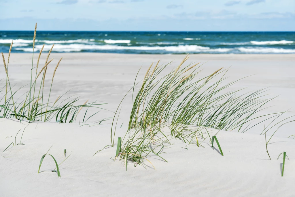 Znajdują się tu piekne plaże