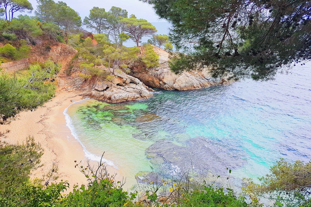 Platja d Aro