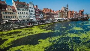 Gdańsk, zdj. ilustracyjne