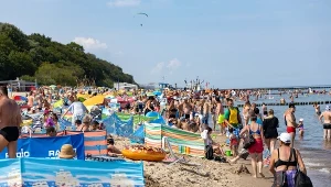 Zdjęcie ilustracyjne