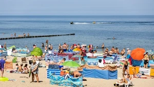 Zdjęcie ilustracyjne