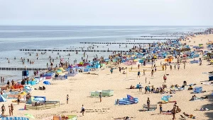 Wszystkie nadmorskie kąpieliska wolne od sinic