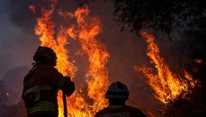 Zdjęcie ilustracyjne