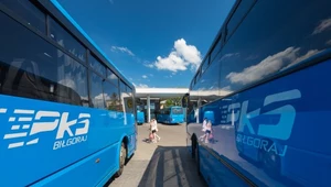 Czy reanimacja pksów pobudzi sprzedaż autobusów?