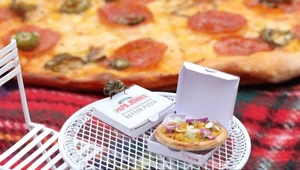 Beezza, czyli pszczoły jedzą pizzę