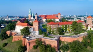 Nowy lokator Smoczej Jamy pod Wawelem. Wodził za nos strażników zamku 