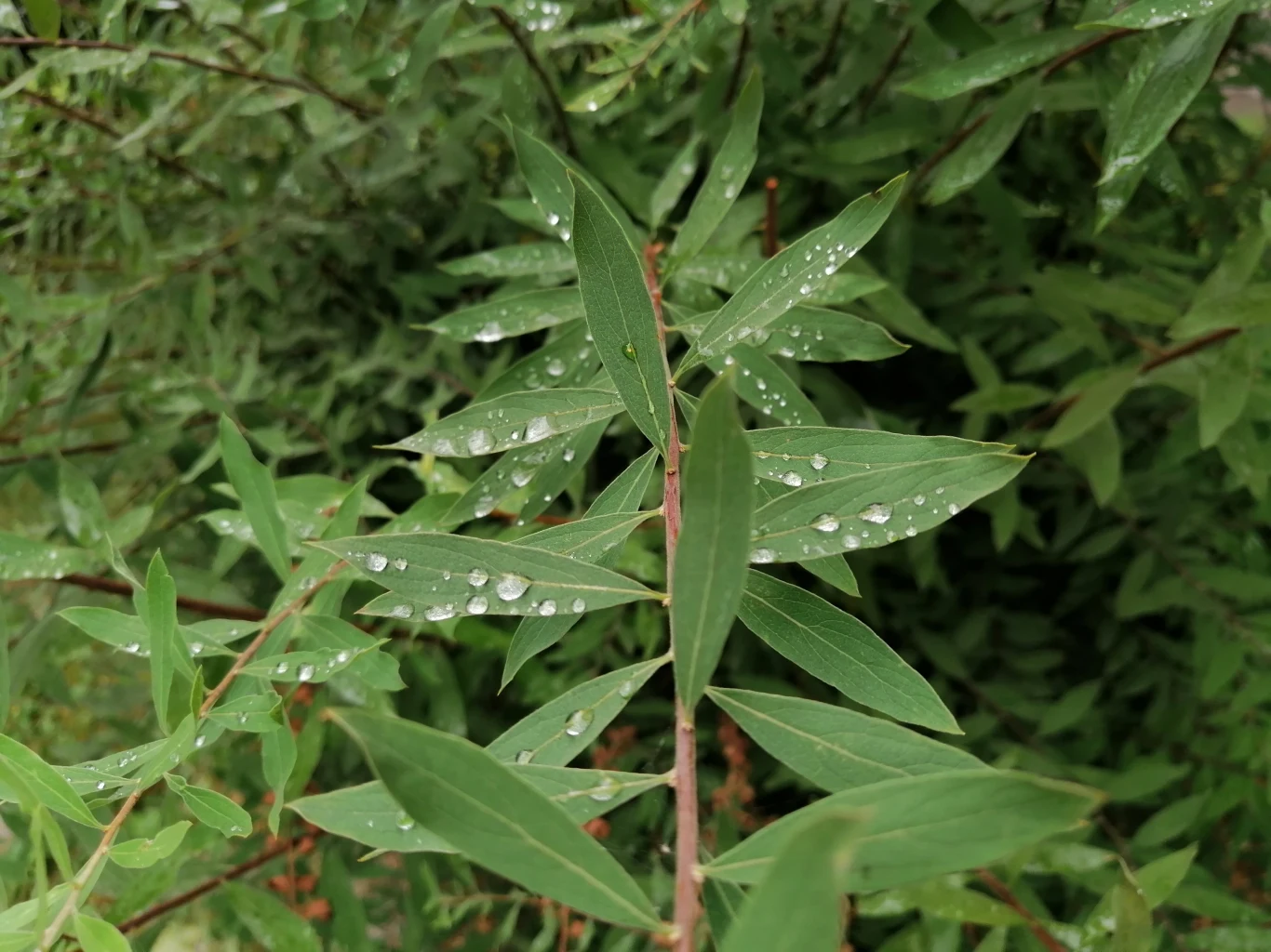 Huawei P Smart Z - przykładowe zdjęcia Huawei P Smart Z - przykładowe zdjęcia