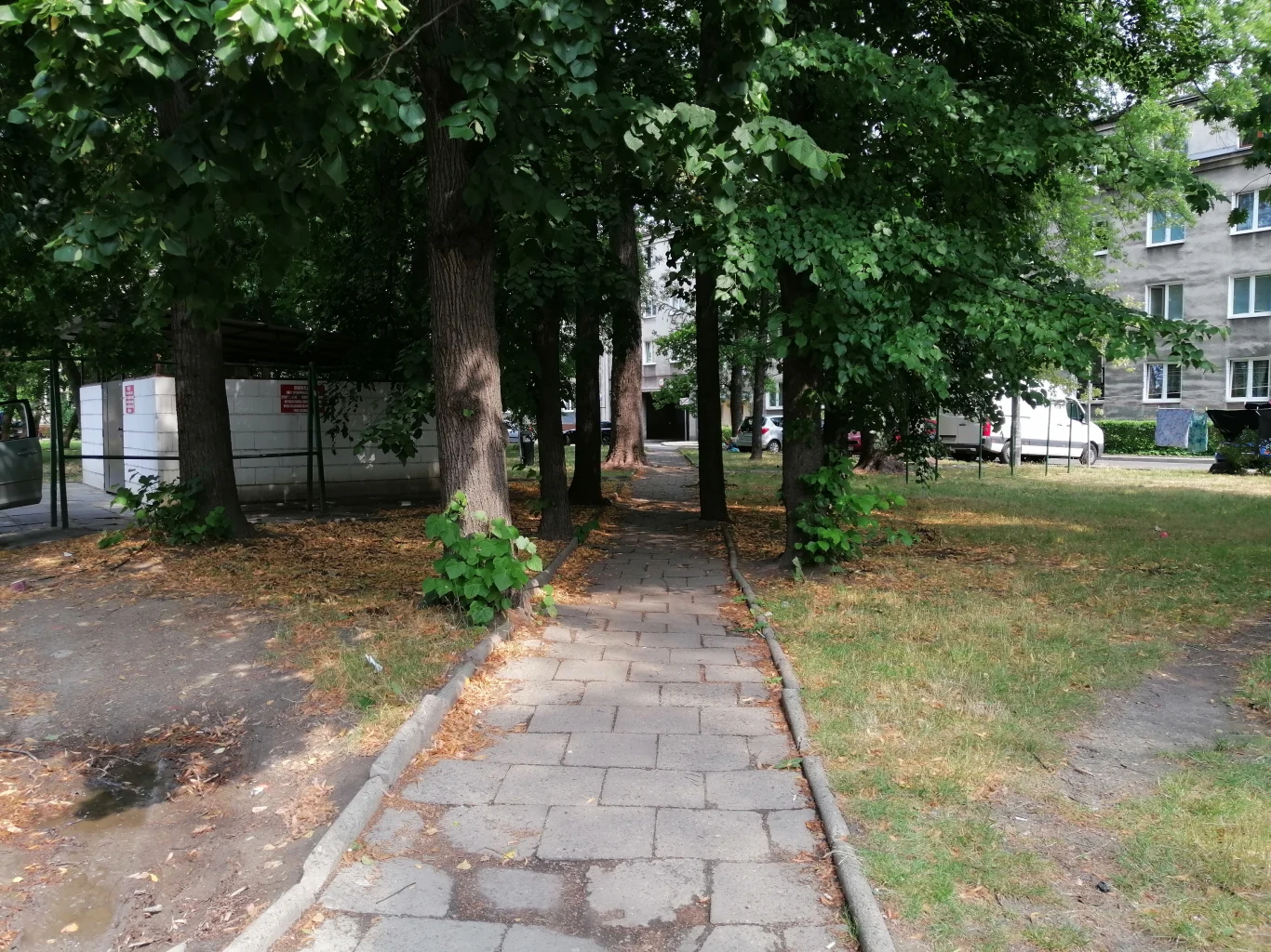 Huawei P Smart Z - przykładowe zdjęcia Huawei P Smart Z - przykładowe zdjęcia