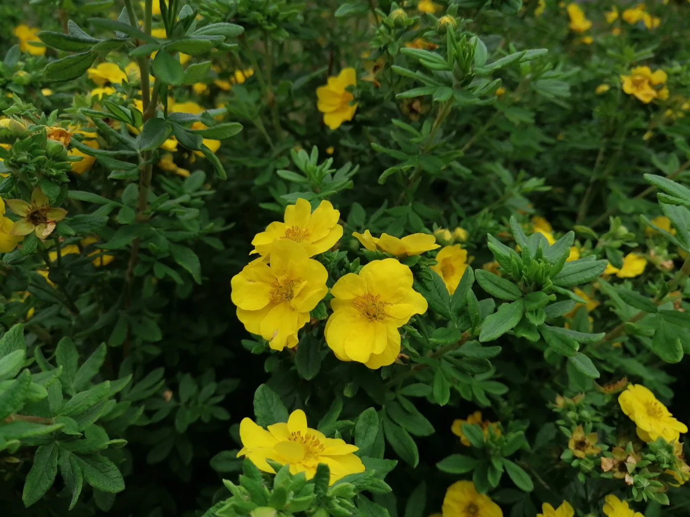 Huawei P Smart Z - przykładowe zdjęcia Huawei P Smart Z - przykładowe zdjęcia