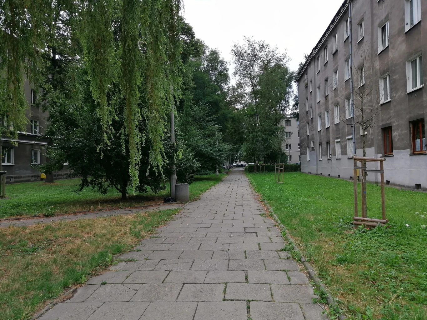 Huawei P Smart Z - przykładowe zdjęcia Huawei P Smart Z - przykładowe zdjęcia